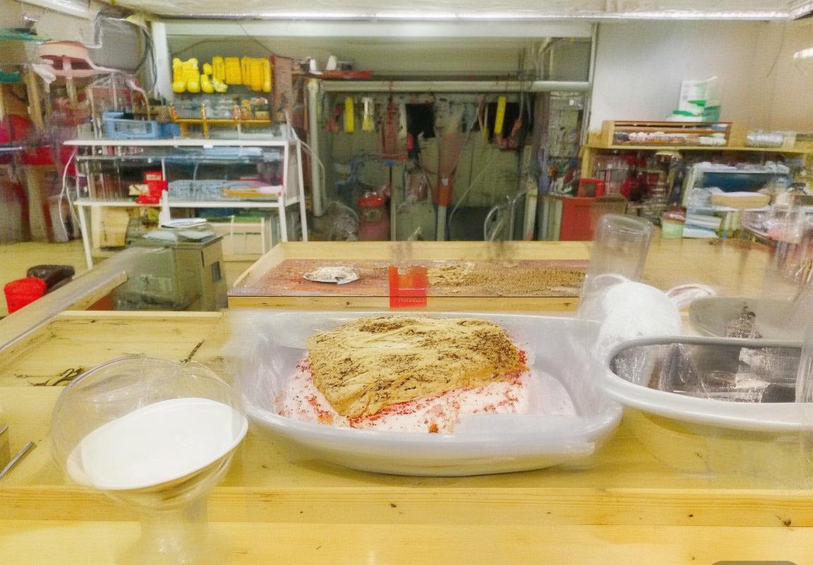 巴西VS厄瓜多尔：巅峰对决，实力与战术全面解析(图1)